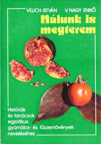 Velich István-V. Nagy Enikő - Nálunk is megterem