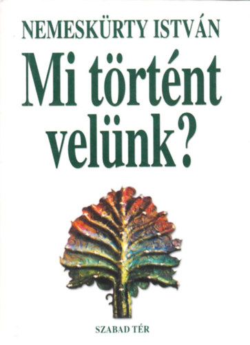 Nemeskürty István - Mi történt velünk?