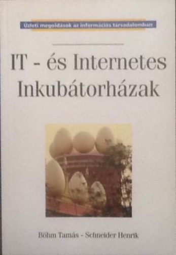 Schneider Henrik Bhm Tams - IT- s internetes inkubtorhzak