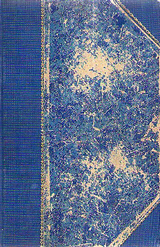 Niamessnyné M. Margit - Villámlik messziről...