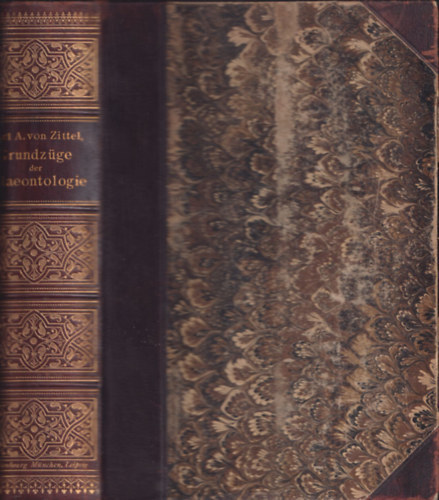 Karl A. von Zittel - Grundzüge der Palaeontologie (Palaeozoologie) (2048 szövegközi képpel)