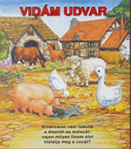 Vidm udvar