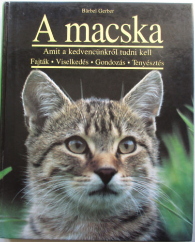 Barbel Gerber - A macska - Amit kedvencnkrl tudni kell: Fajtk, viselkeds, gondozs, tenyszts