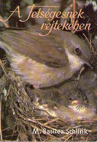 M.Basitea Schlink - A Felsgesnek rejtekben