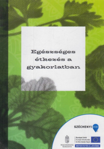 Kocsis Blint - Egszsges tkezs a gyakorlatban