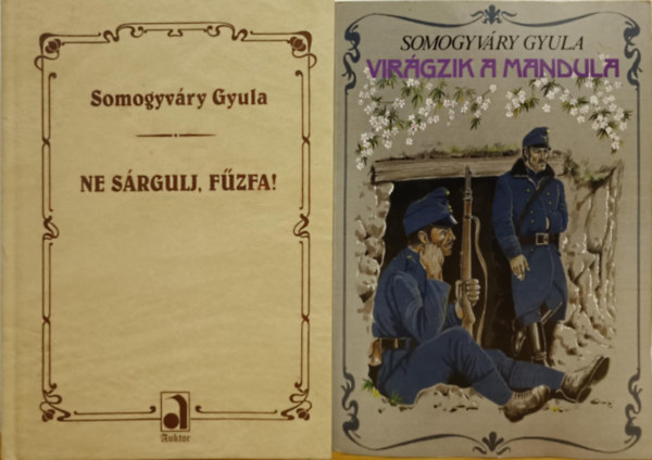 Somogyvry Gyula vitz - Somogyvry Gyula knyvcsomag