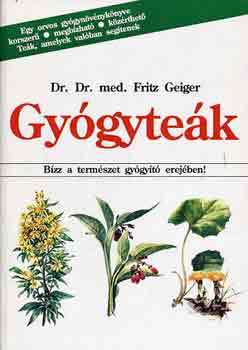 Geiger, Fritz, dr. - Gygytek