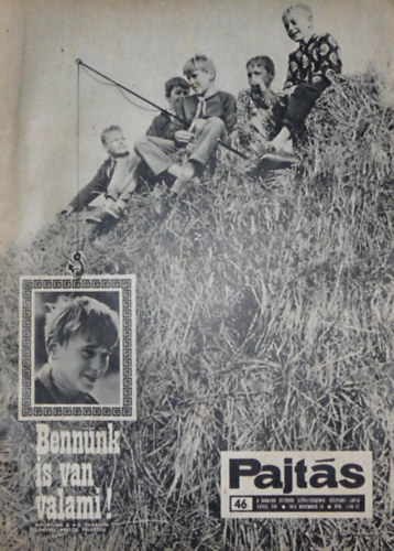 Vasvri Ferenc (szerk.) - Pajts XXVIII. vfolyam 46. szm
