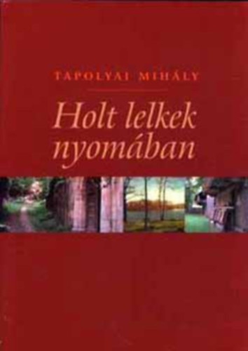 Tapolyai Mihly - Holt lelkek nyomban