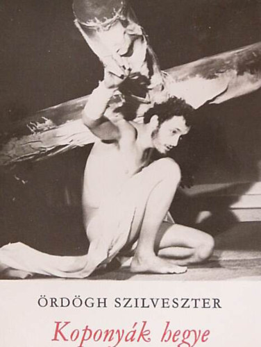 �rd�gh Szilveszter - Kopony�k hegye