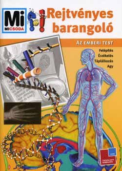 Rejtvényes barangoló - Az emberi test