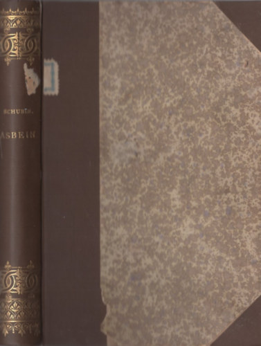 Ossip Schubin - Asbein. Egy művész életéből.