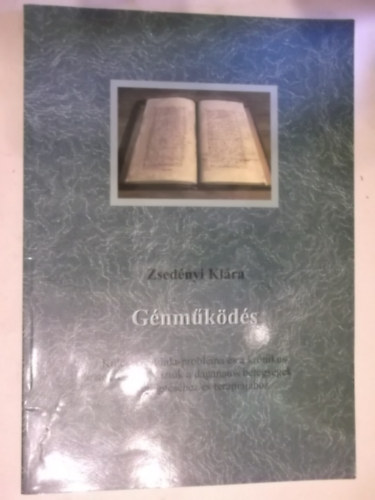 Zsednyi Klra - Gnmkds