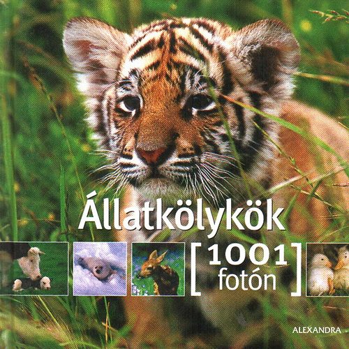 Suzanne Millarca (szerk.) - llatklykk - 1001 fotn