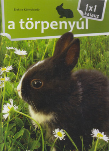 A törpenyúl - 1x1 kalauz