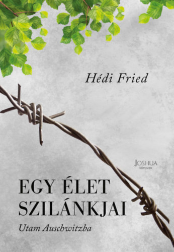Hdi Fried - Egy let szilnkjai