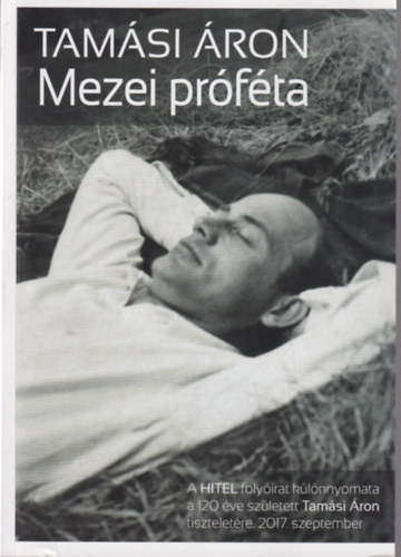 Tamási Áron - Mezei próféta - filmforgatókönyv