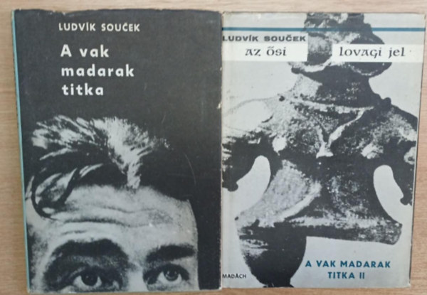 Ludvik Soucek - A vak madarak titka - Az ősi lovagi jel (A vak madarak titka II.)