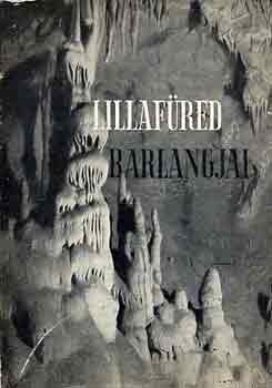 Dr. Kessler Hubert-Megay Géza - Lilafüred barlangjai