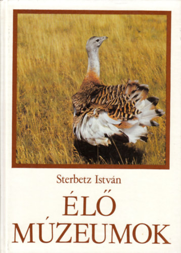 Sterbetz Istvn - l mzeumok