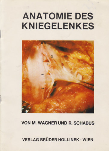 M. Wagner, R. Schabus - Anatomie des Kniegelenkes
