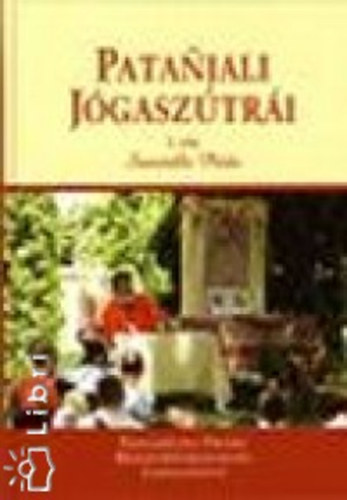 Patanjali, Rsi - Patanjali j�gasz�tr�i