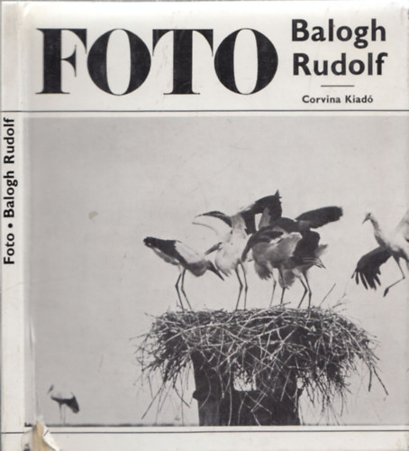 Vajda Ern - Balogh Rudolf munkssga
