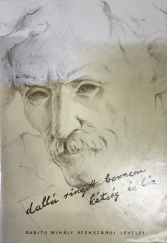 Vadas Ferenc (szerkesztő) - Dallá ringott bennem kétség és láz...- Babits Mihály (és Török Sophie) szekszárdi levelei