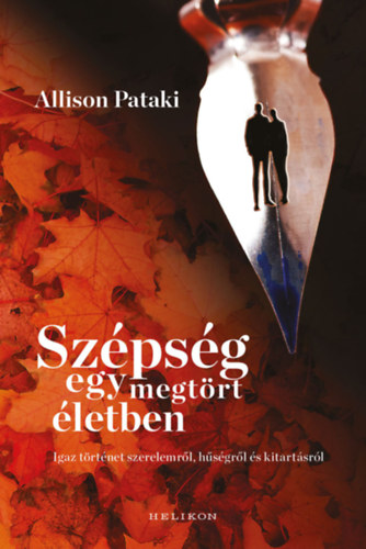 Allison Pataki - Szpsg egy megtrt letben
