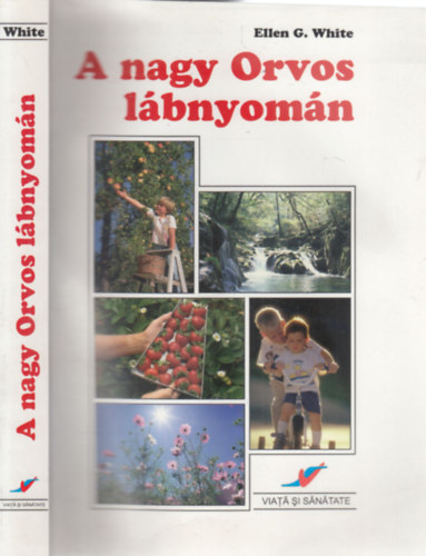 Ellen Gould White - A nagy Orvos lbnyomn