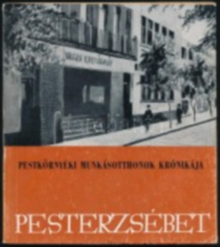 Nagy Dezső - Pestkörnyéki Munkásotthonok Krónikája - Pesterzsébet