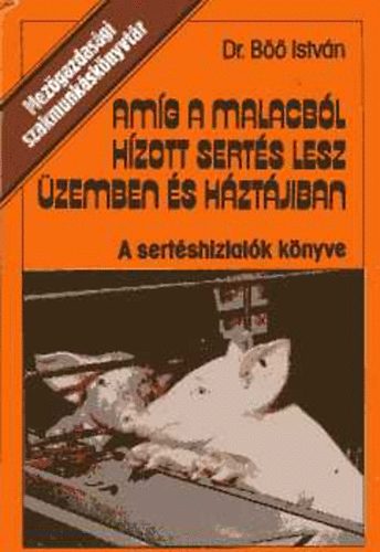 Dr. B�� Istv�n - Am�g a malacb�l h�zott sert�s lesz �zemben �s h�zt�jiban