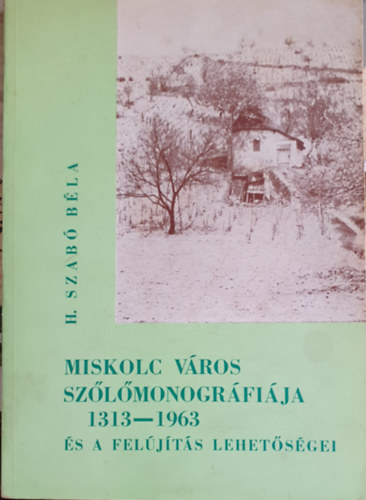 H. Szab� B�la - Miskolc v�ros sz�l�monogr�fi�ja 1313-1963 �s a fel�j�t�s lehet�s�gei