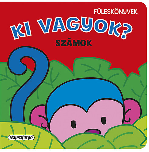 Ki vagyok? - Szmok