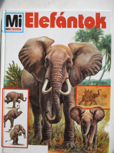 Dr.Urlich Sedlag - Elefntok- Mi micsoda 17.