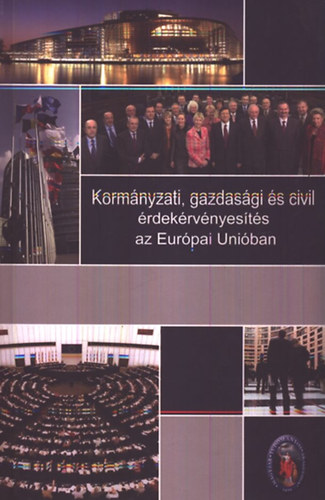 Bayer Jzsef; Kgler dm (szerk.) - Kormnyzati, gazdasgi s civil rdekrvnyests az Eurpai Uniban