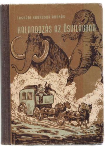 Tasndi Kubacska Andrs - Kalandozs az svilgban