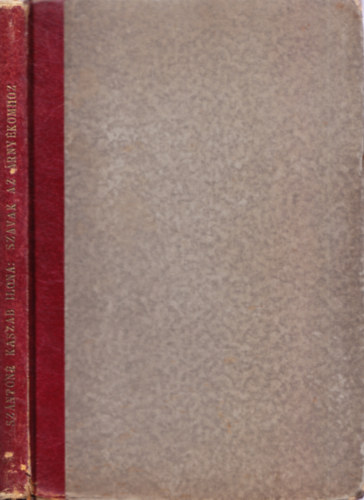 Sz�nt�n� Kaszab Ilona - Szavak az �rny�komhoz