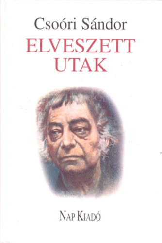 Csori Sndor - Elveszett utak