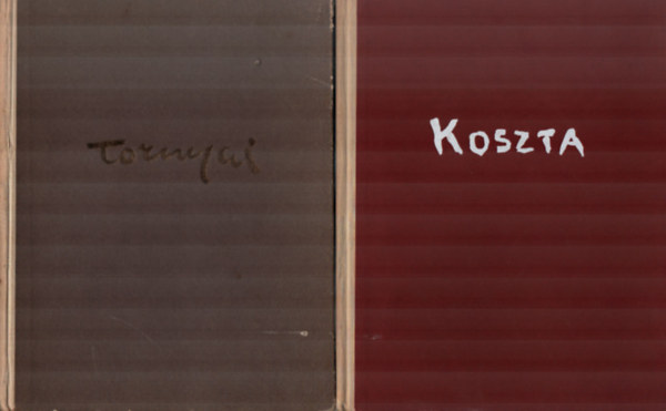 Bodnr va, Bnyi Lszl - 2 db knyv a festszetrl egytt: Koszta, Tornyai.