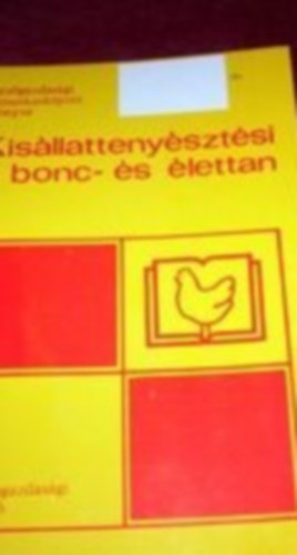 Kisllattenysztsi bonc- s lettan