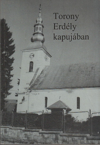 Molnr Jnos (szerk.) - Torony Erdly kapujban (Tanulmnyok Zsib letbl)