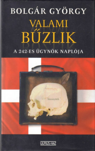 Bolgr Gyrgy - Valami bzlik
