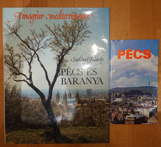 Szelényi Károly, Bezerédy Győző - Pécs, Pécs és Baranya
