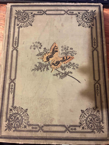 Lutz, K.G. [Karl Georg]: - Das Buch der Schmetterlinge. Eine Schilderung der mitteleurop�ischen Schmetterlinge mit besonderer Ber�cksichtigung der Raupen und ihrer Nahrungspflanzen.