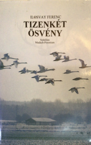 Ilosvay Ferenc - Tizenkt svny (Egy vadszv regnye)