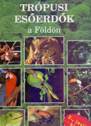 Rupert Matthews - Trópusi esőerdők a Földön - A természeti környezet védelmében (2., javított kiadás)