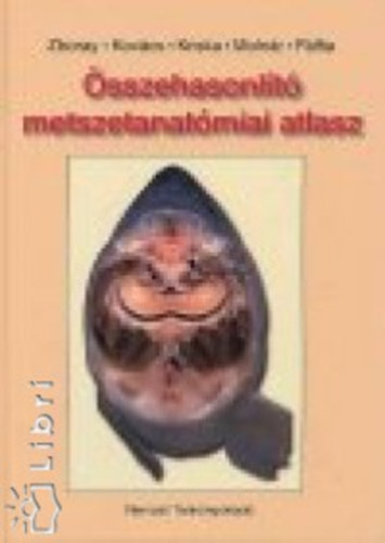 Zboray Gza--Kovcs Zsolt--Kriska Gyrgy - sszehasonlt metszetanatmiai atlasz