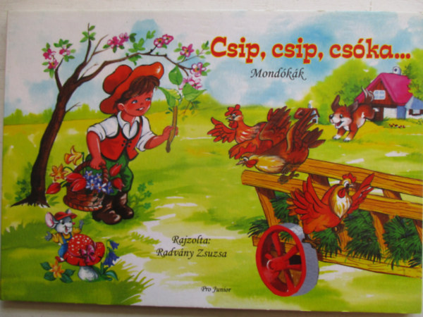 Csip, csip csóka...