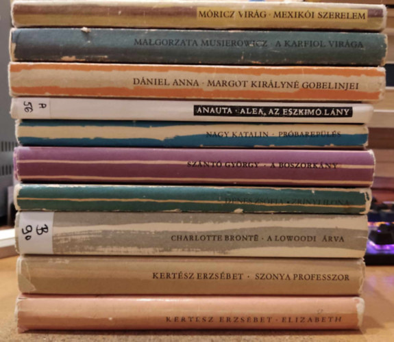 Kertész Erzsébet, Charlotte Brontë, Dénes Zsófia, Szántó György, Nagy Katalin, Anauta, Dániel Anna, Malgorzata Musierowicz, Móricz Virág - 10 db csíkos lányregény: Elizabeth; Szonya professzor; A lowoodi árva; Zrínyi Ilona; A boszorkány; Próbarepülés; Alea, az eszkimó lány; Margot királyné gobelinjei; A karfiol virága; Mexikói szerelem